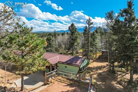 Tiny photo for 56 Daisy Street, Woodland Park, CO 80863 (MLS # 4019490)