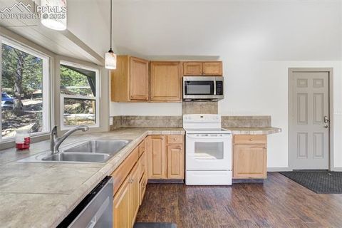 Tiny photo for 56 Daisy Street, Woodland Park, CO 80863 (MLS # 4019490)