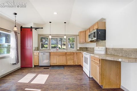 Tiny photo for 56 Daisy Street, Woodland Park, CO 80863 (MLS # 4019490)