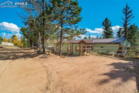 Photo of 56 Daisy Street, Woodland Park, CO 80863 (MLS # 4019490)