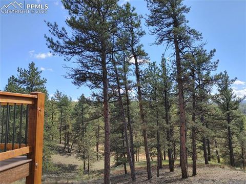 Tiny photo for 76 BRADSHAW Road, Florissant, CO 80816 (MLS # 2518866)