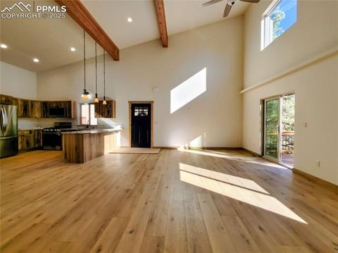 Tiny photo for 76 BRADSHAW Road, Florissant, CO 80816 (MLS # 2518866)