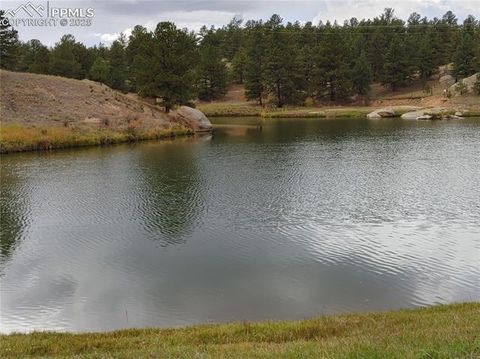 Tiny photo for 76 BRADSHAW Road, Florissant, CO 80816 (MLS # 2518866)