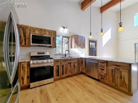 Tiny photo for 76 BRADSHAW Road, Florissant, CO 80816 (MLS # 2518866)