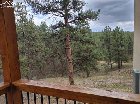 Tiny photo for 76 BRADSHAW Road, Florissant, CO 80816 (MLS # 2518866)