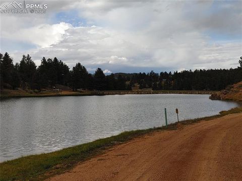 Tiny photo for 76 BRADSHAW Road, Florissant, CO 80816 (MLS # 2518866)