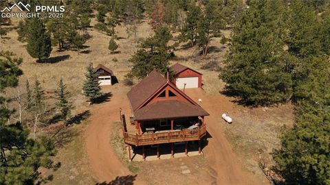 Photo of 277 Deerfield Circle, Florissant, CO 80816 (MLS # 6469648)