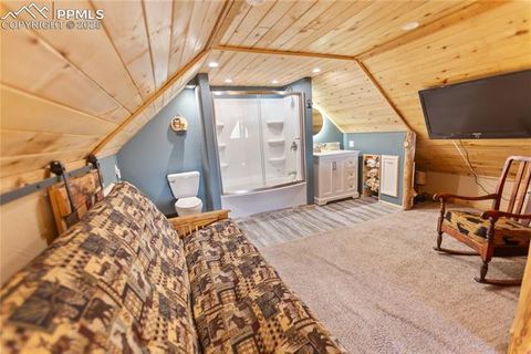 Tiny photo for 277 Deerfield Circle, Florissant, CO 80816 (MLS # 6469648)