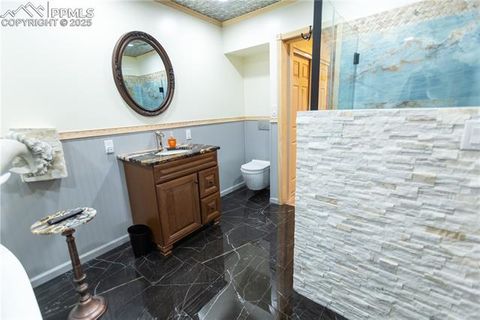 Tiny photo for 277 Deerfield Circle, Florissant, CO 80816 (MLS # 6469648)