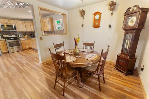 Tiny photo for 277 Deerfield Circle, Florissant, CO 80816 (MLS # 6469648)