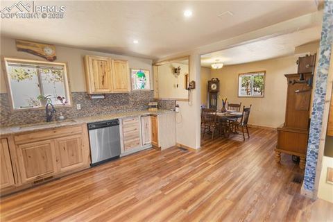 Tiny photo for 277 Deerfield Circle, Florissant, CO 80816 (MLS # 6469648)