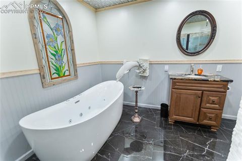 Tiny photo for 277 Deerfield Circle, Florissant, CO 80816 (MLS # 6469648)