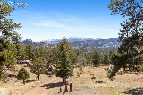 Tiny photo for 277 Deerfield Circle, Florissant, CO 80816 (MLS # 6469648)