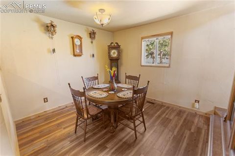 Tiny photo for 277 Deerfield Circle, Florissant, CO 80816 (MLS # 6469648)