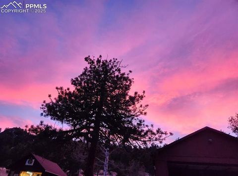 Tiny photo for 277 Deerfield Circle, Florissant, CO 80816 (MLS # 6469648)