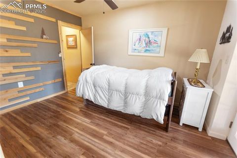 Tiny photo for 277 Deerfield Circle, Florissant, CO 80816 (MLS # 6469648)