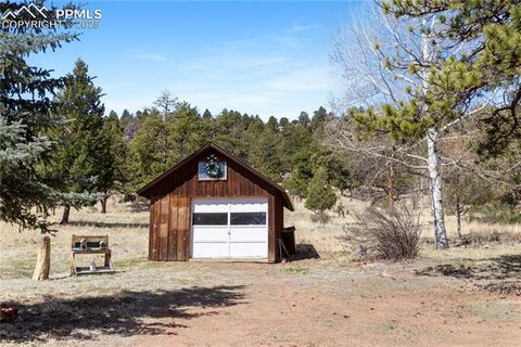 Tiny photo for 277 Deerfield Circle, Florissant, CO 80816 (MLS # 6469648)