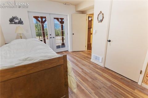 Tiny photo for 277 Deerfield Circle, Florissant, CO 80816 (MLS # 6469648)