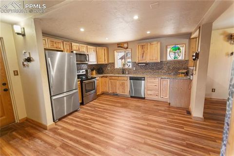 Tiny photo for 277 Deerfield Circle, Florissant, CO 80816 (MLS # 6469648)