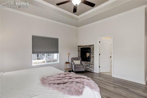 Tiny photo for 10704 Shavano Peak Court, Peyton, CO 80831 (MLS # 5646962)