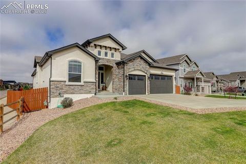 Photo of 10704 Shavano Peak Court, Peyton, CO 80831 (MLS # 5646962)
