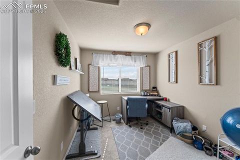 Tiny photo for 8139 Henzlee Place, Peyton, CO 80831 (MLS # 2217492)