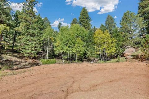 Photo of 926 Pinon Lane, Florissant, CO 80816 (MLS # 4934450)