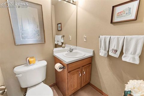 Tiny photo for 938 Spring Valley Lane, Florissant, CO 80816 (MLS # 2306133)