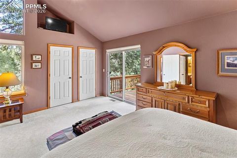 Tiny photo for 938 Spring Valley Lane, Florissant, CO 80816 (MLS # 2306133)