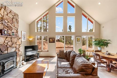 Tiny photo for 938 Spring Valley Lane, Florissant, CO 80816 (MLS # 2306133)
