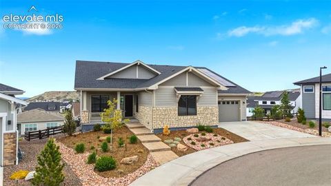 Photo of 851 Alumroot Street, Castle Rock, CO 80104 (MLS # 6180571)