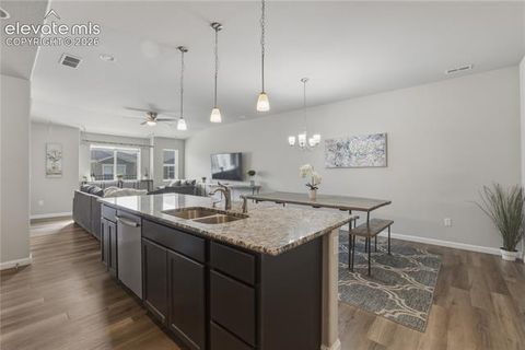 Tiny photo for 2093 Birmingham Loop, Colorado Springs, CO 80910 (MLS # 9851761)
