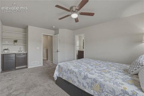 Tiny photo for 2093 Birmingham Loop, Colorado Springs, CO 80910 (MLS # 9851761)
