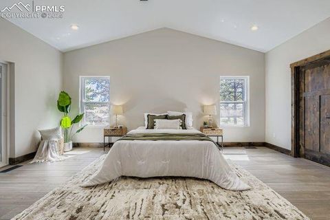 Tiny photo for 1279 Firestone Drive, Woodland Park, CO 80863 (MLS # 5226812)