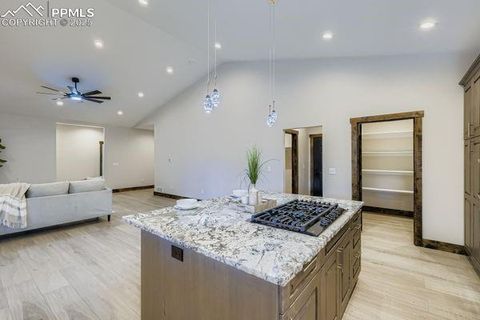 Tiny photo for 1279 Firestone Drive, Woodland Park, CO 80863 (MLS # 5226812)