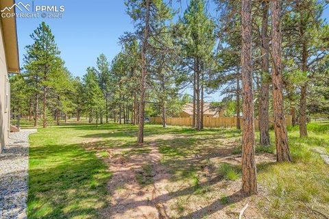 Tiny photo for 1279 Firestone Drive, Woodland Park, CO 80863 (MLS # 5226812)