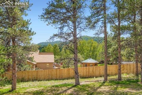 Tiny photo for 1279 Firestone Drive, Woodland Park, CO 80863 (MLS # 5226812)