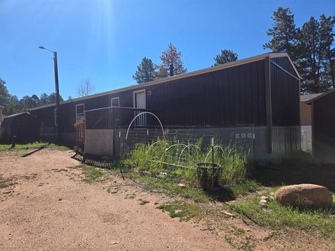Photo of 27572 N Highway 67 #45, Woodland Park, CO 80863 (MLS # R12377223) Photo of 27572 N Highway 67 #45, Woodland Park, CO 80863 (MLS # R12377223)
