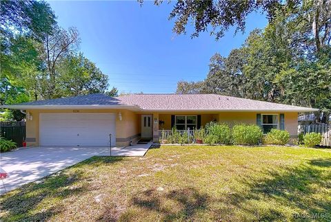 11236 N Rain Point Inglis FL 34449