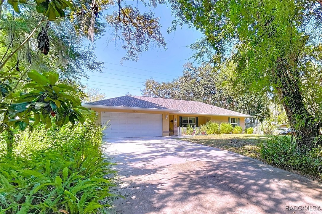 11236 N Rain Point