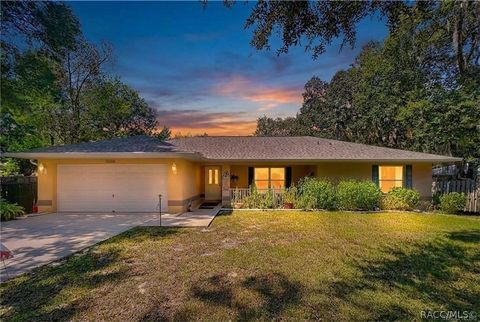 11236 N Rain Point Inglis FL 34449