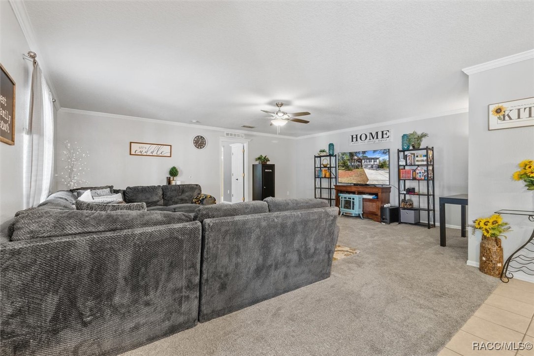 5 Mastic Court, Homosassa, Florida image 38