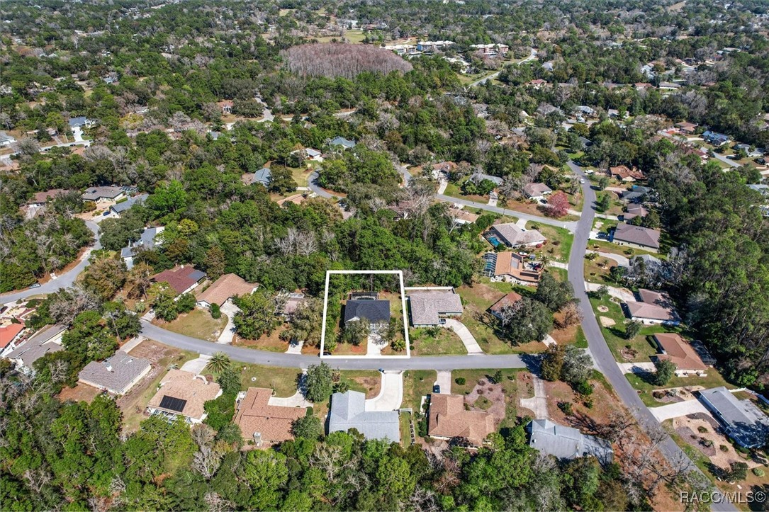 5 Mastic Court, Homosassa, Florida image 4