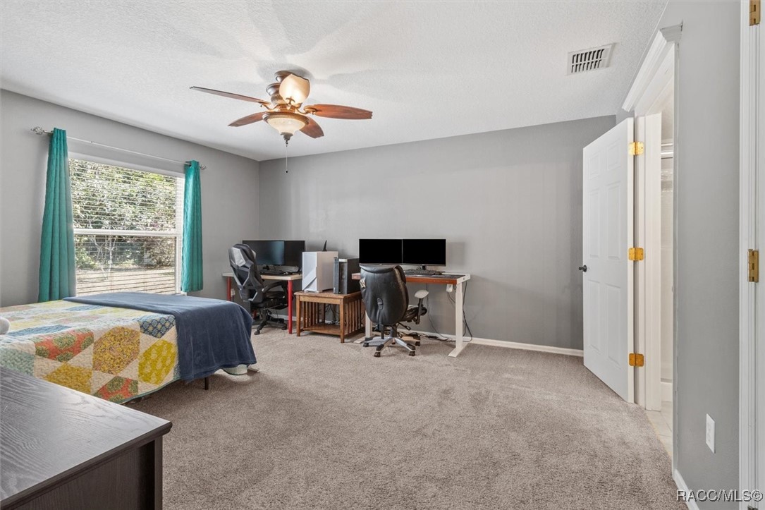 5 Mastic Court, Homosassa, Florida image 35
