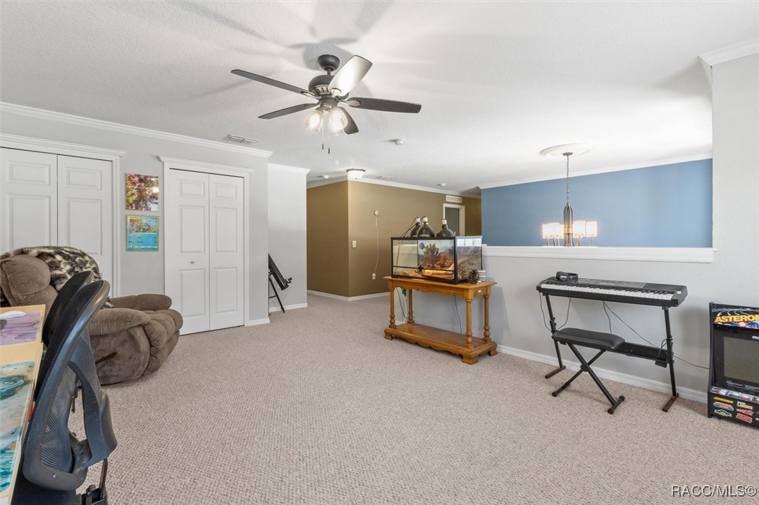 5 Mastic Court, Homosassa, Florida image 12