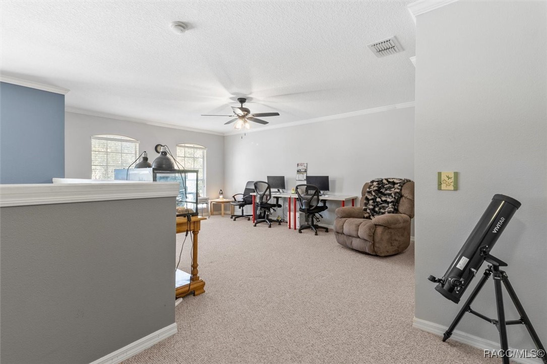 5 Mastic Court, Homosassa, Florida image 11
