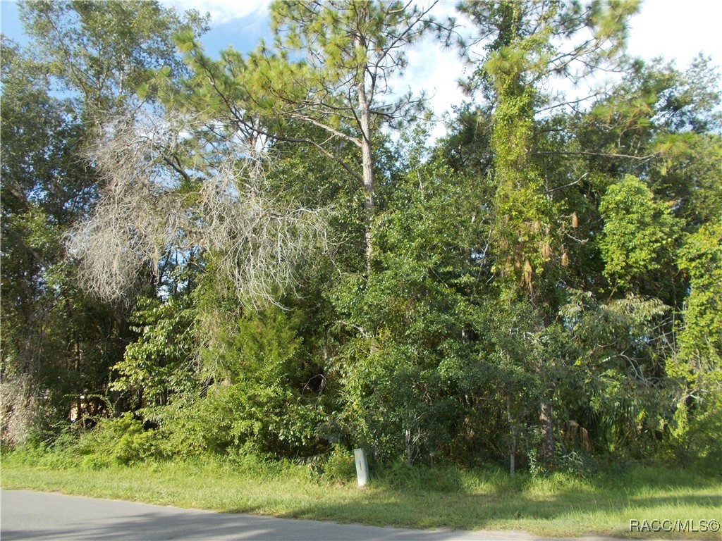 Homosassa, Florida 34465, United States, ,Land,Active,196034