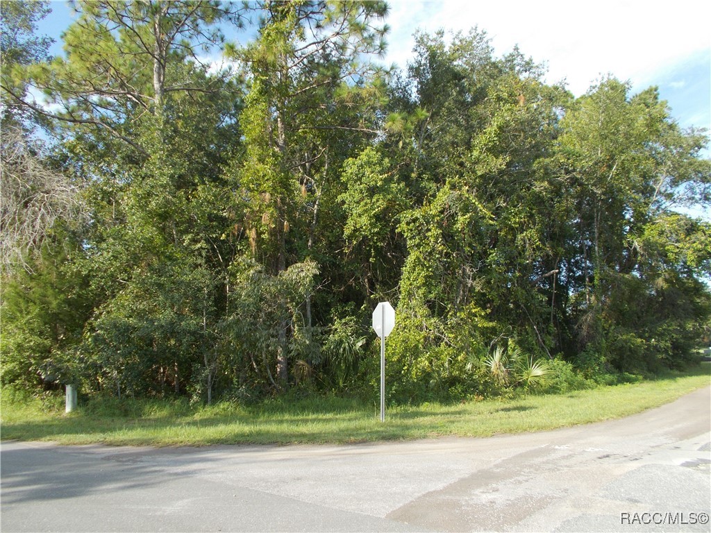 Homosassa, Florida 34465, United States, ,Land,Active,196034