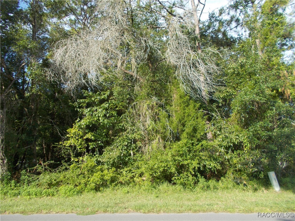 Homosassa, Florida 34465, United States, ,Land,Active,196034