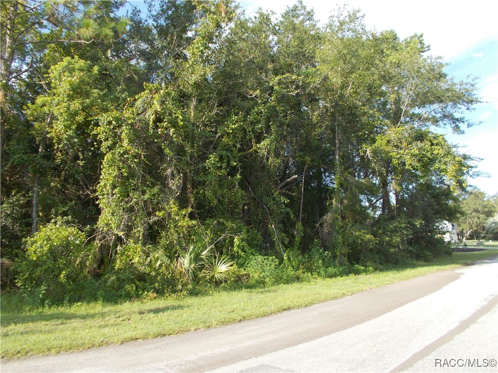 Homosassa, Florida 34465, United States, ,Land,Active,196034